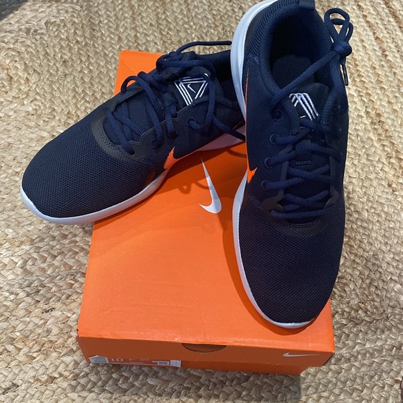 Nike Flex Experience Run 10, US10 BNIB - Picture 2 of 7